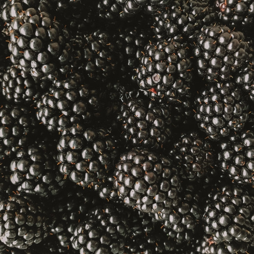 Confiture de saison Mûre Épépinée, fabrication française