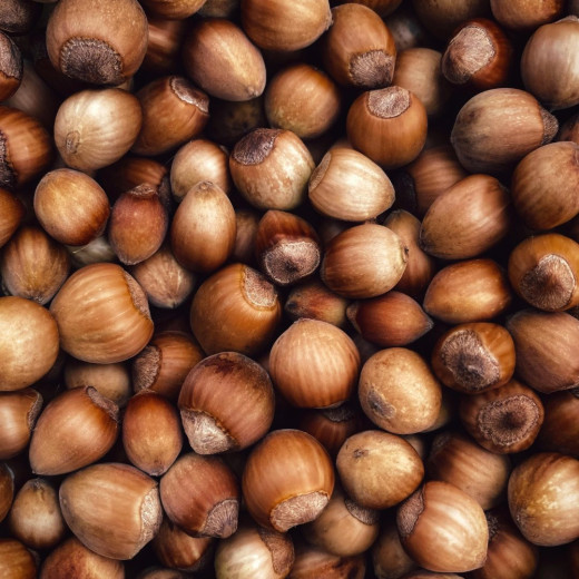 Pâte à Tartiner Noisette - Authentique et Gourmande | La Chambre