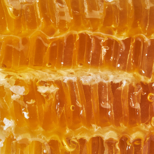 Wildflower Honey 250g from Morvan | La Chambre
