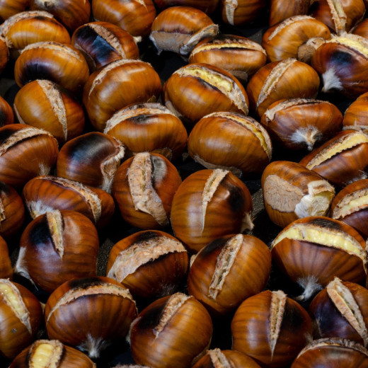 Creamed Chestnut honey, French origin | La Chambre